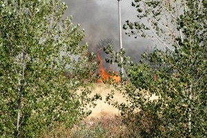 campo sterpaglie incendiato